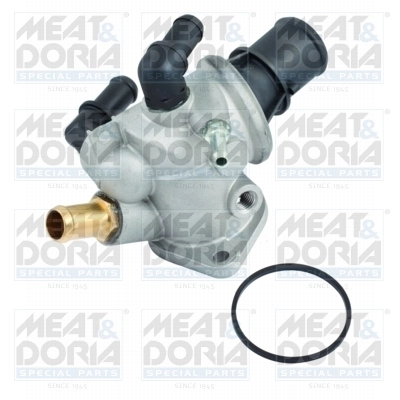 Thermostat, coolant
